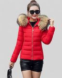 Slim Padded Jacket with Fur Hood