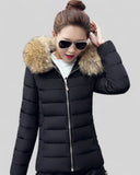 Slim Padded Jacket with Fur Hood