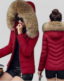 Slim Padded Jacket with Fur Hood