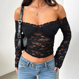 Lace Off-Shoulder Long Sleeve Top